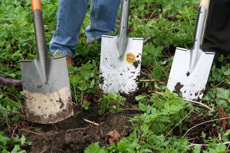 pepiniere-BARGEME-min_work-lawn-flower-tool-green-backyard-1103633-pxhere.com